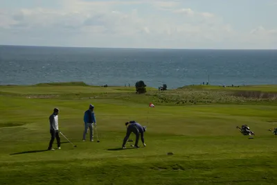 DSC_7256 (Large).JPG